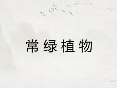 常绿植物