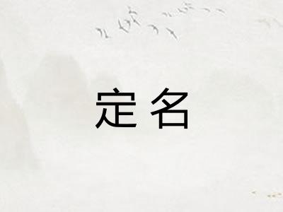 定名