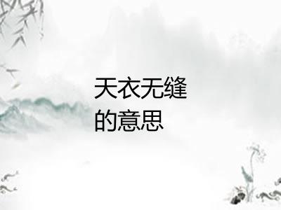 天衣无缝的意思