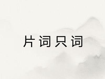 片词只词
