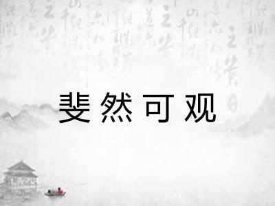 斐然可观