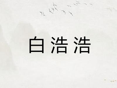 白浩浩