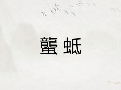 蠪蚳