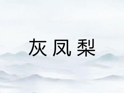 灰凤梨