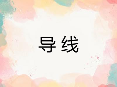 导线