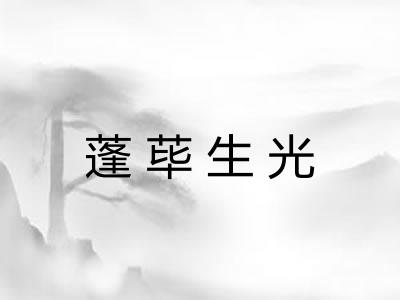 蓬荜生光