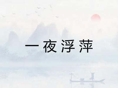 一夜浮萍