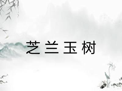 芝兰玉树