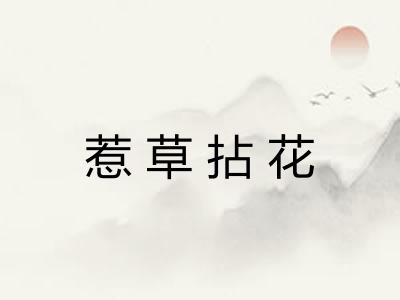 惹草拈花