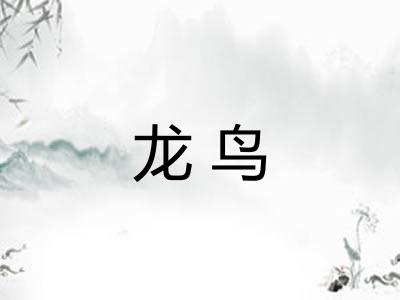 龙鸟