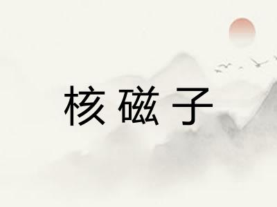 核磁子