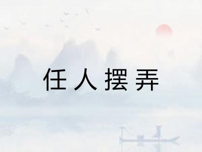 任人摆弄