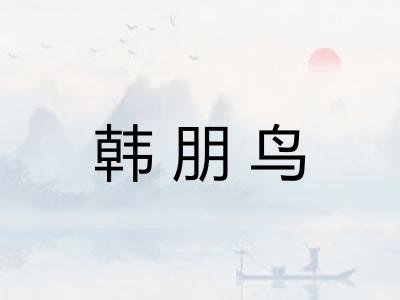 韩朋鸟