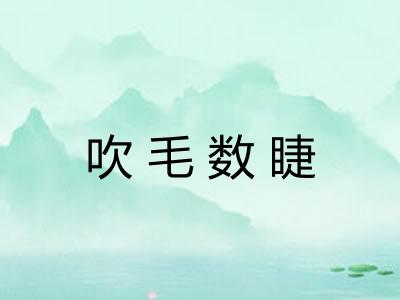 吹毛数睫