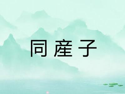 同産子