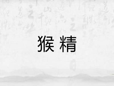 猴精