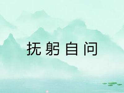 抚躬自问