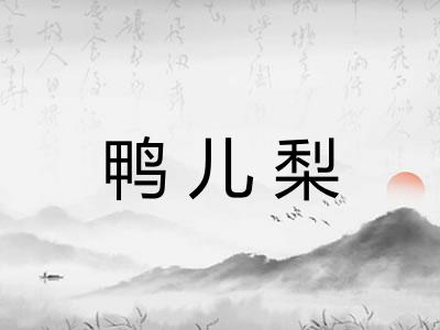 鸭儿梨