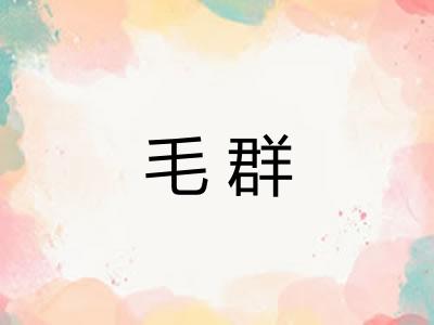毛群