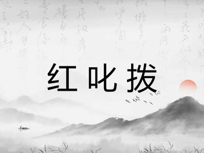 红叱拨
