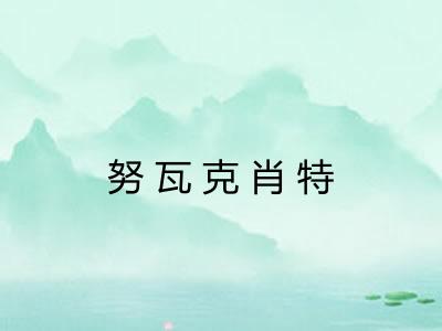努瓦克肖特