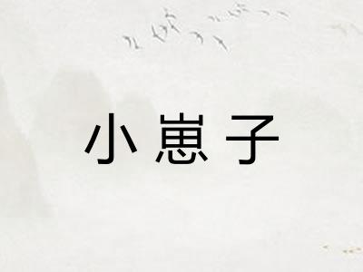 小崽子