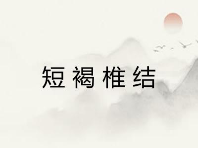 短褐椎结