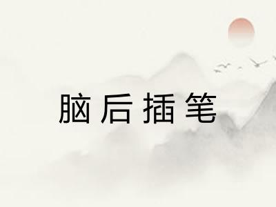 脑后插笔