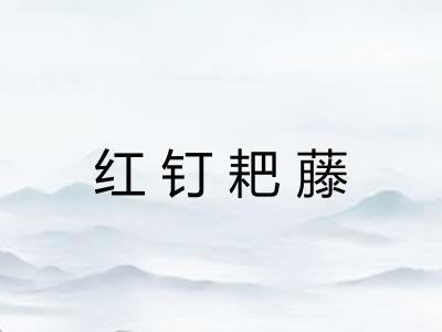 红钉耙藤
