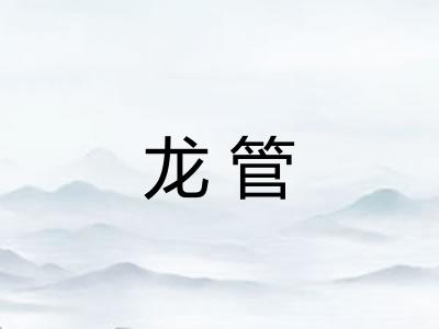 龙管