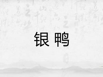 银鸭