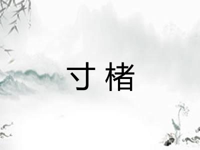 寸楮