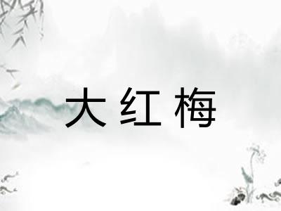 大红梅