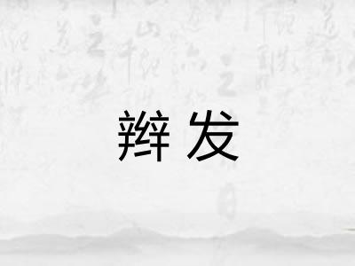 辫发