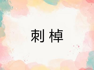 刺棹