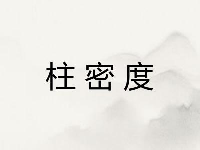 柱密度