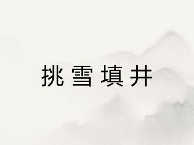挑雪填井