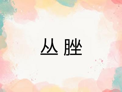 丛脞