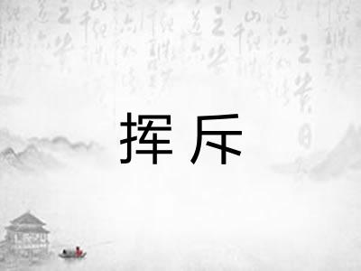挥斥