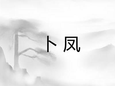 卜凤