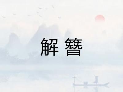 解簪