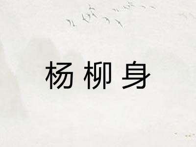 杨柳身