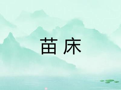 苗床