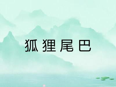 狐狸尾巴