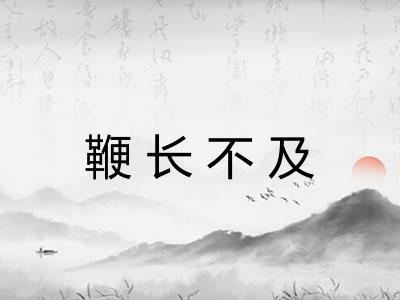 鞭长不及