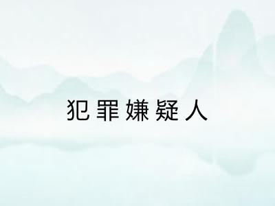 犯罪嫌疑人