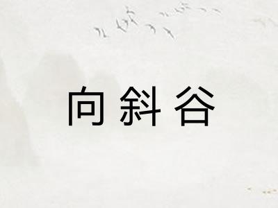 向斜谷