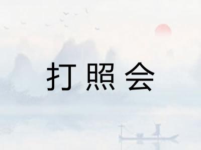 打照会