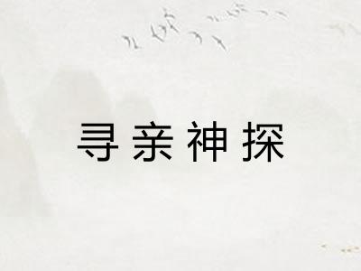 寻亲神探