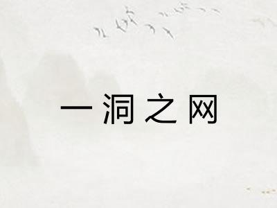 一洞之网